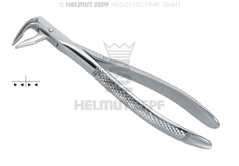 Helmut Zepf extraction forceps lower roots English pattern #74, stainless steel dental instrument No. 10.074.91