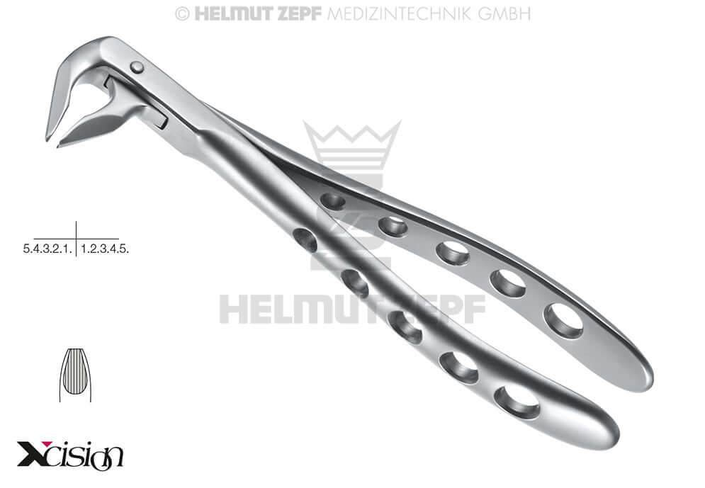 Helmut Zepf extraction forceps lower incisors and premolars #36M English Pattern Far Reaching Xcision-Line Secure-Line dental instrument
