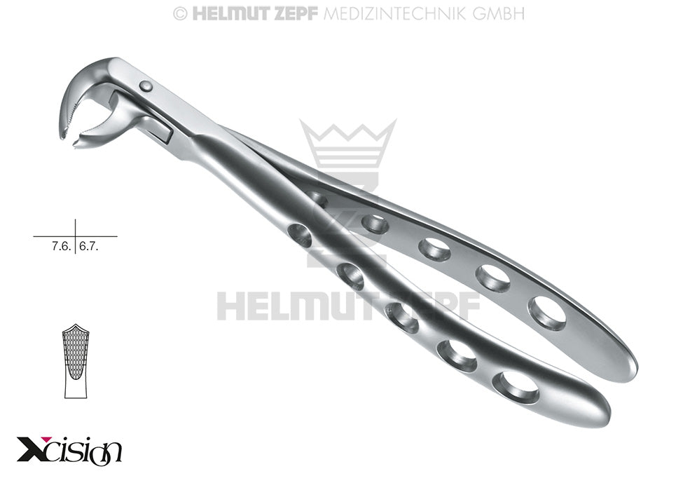 lower molar extraction forceps English pattern #73A Xcision-Line Helmut Zepf 12.073.01Z