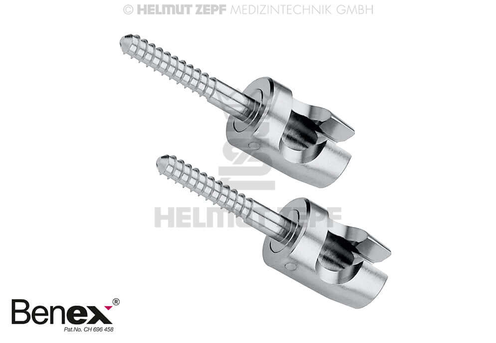 Benex Extraction System Small Screws 10mm 1.6mm Diameter Pair by Helmut Zepf Dental Extraction Tools
