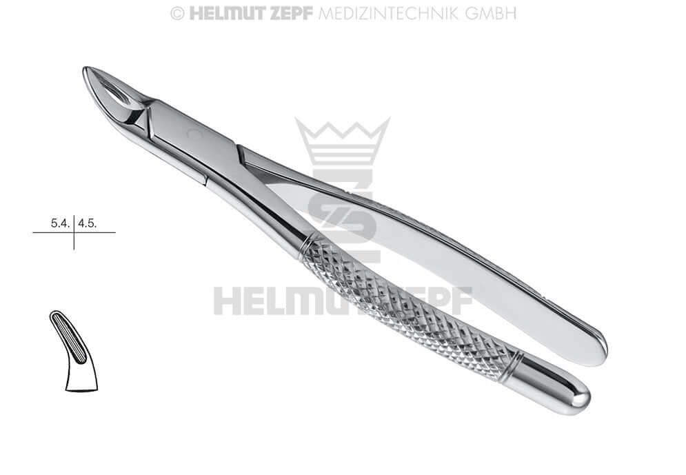 Helmut Zepf #101 deciduous teeth extraction forceps, Hull American Pattern, stainless steel dental tool