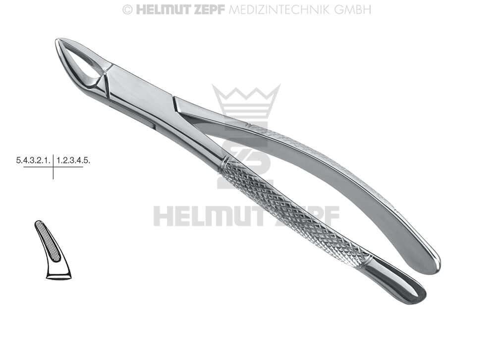 Cryer American Pattern #150 extraction forceps for upper incisors, premolars and roots by Helmut Zepf No.14.150.00