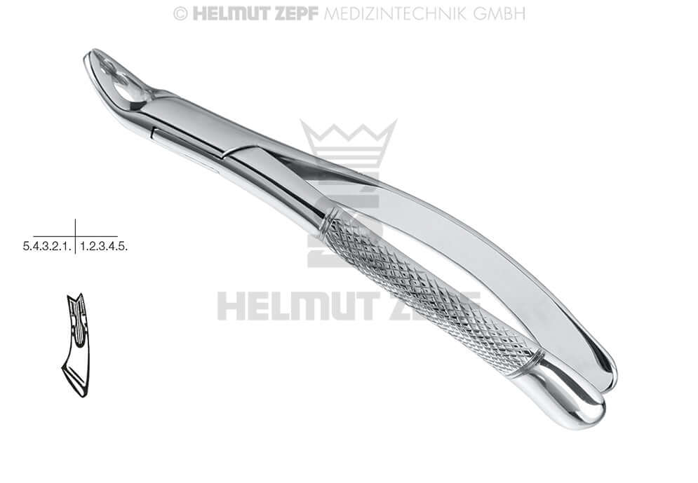 Cryer 150 extraction forceps upper teeth, American Pattern, Helmut Zepf No. 14.150.10, Stainless Steel