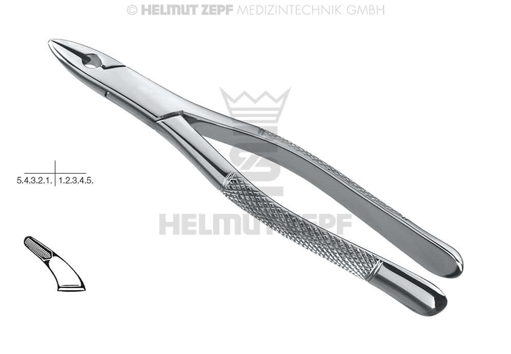 Cryer extraction forceps lower incisors premolars #151-A American Pattern Helmut Zepf 14.151.01