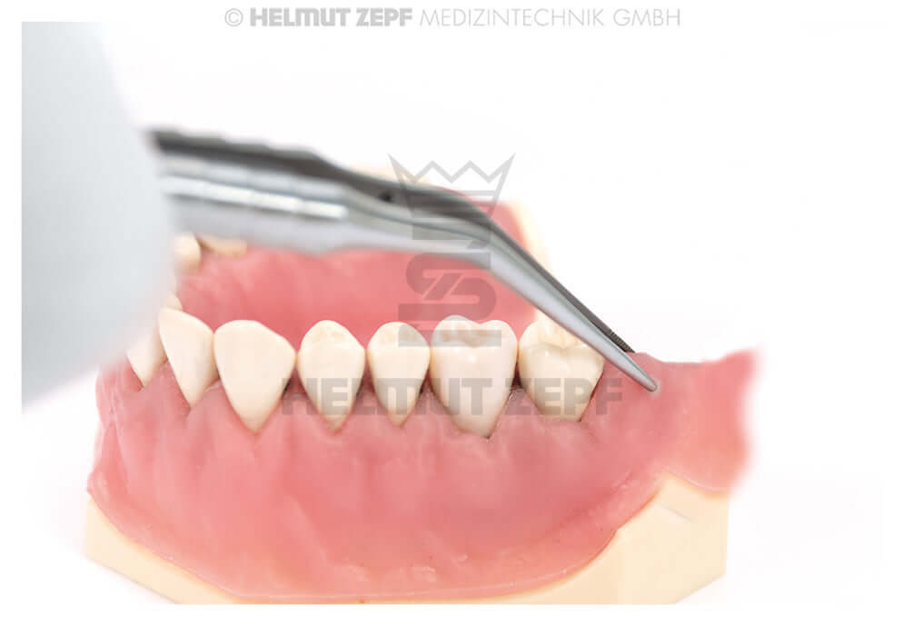 Cooley Forceps Micro 25° Curved Long Tips Retromolar Region by Helmut Zepf No.22.823.17 used on dental model