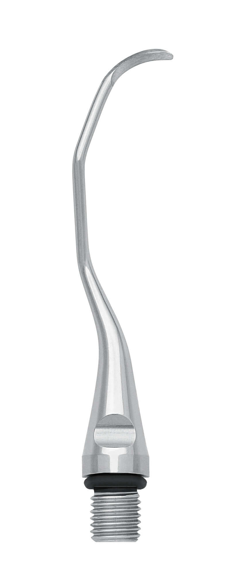 Gracey Curette Insert 15 - Precision Dental Scaling Instrument for Posterior Teeth