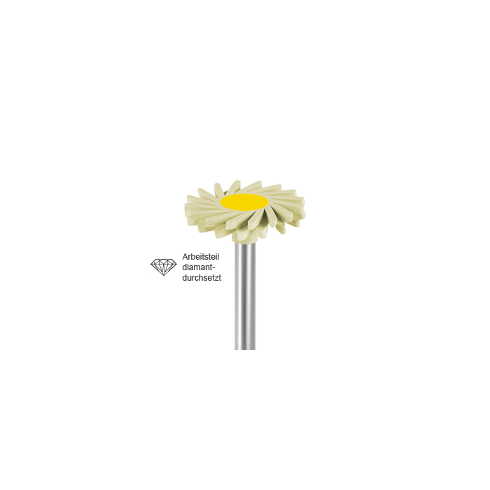 Busch 9821 140 RA CERA POL DIA F - (Pack of 2) Bur Made in Germany
