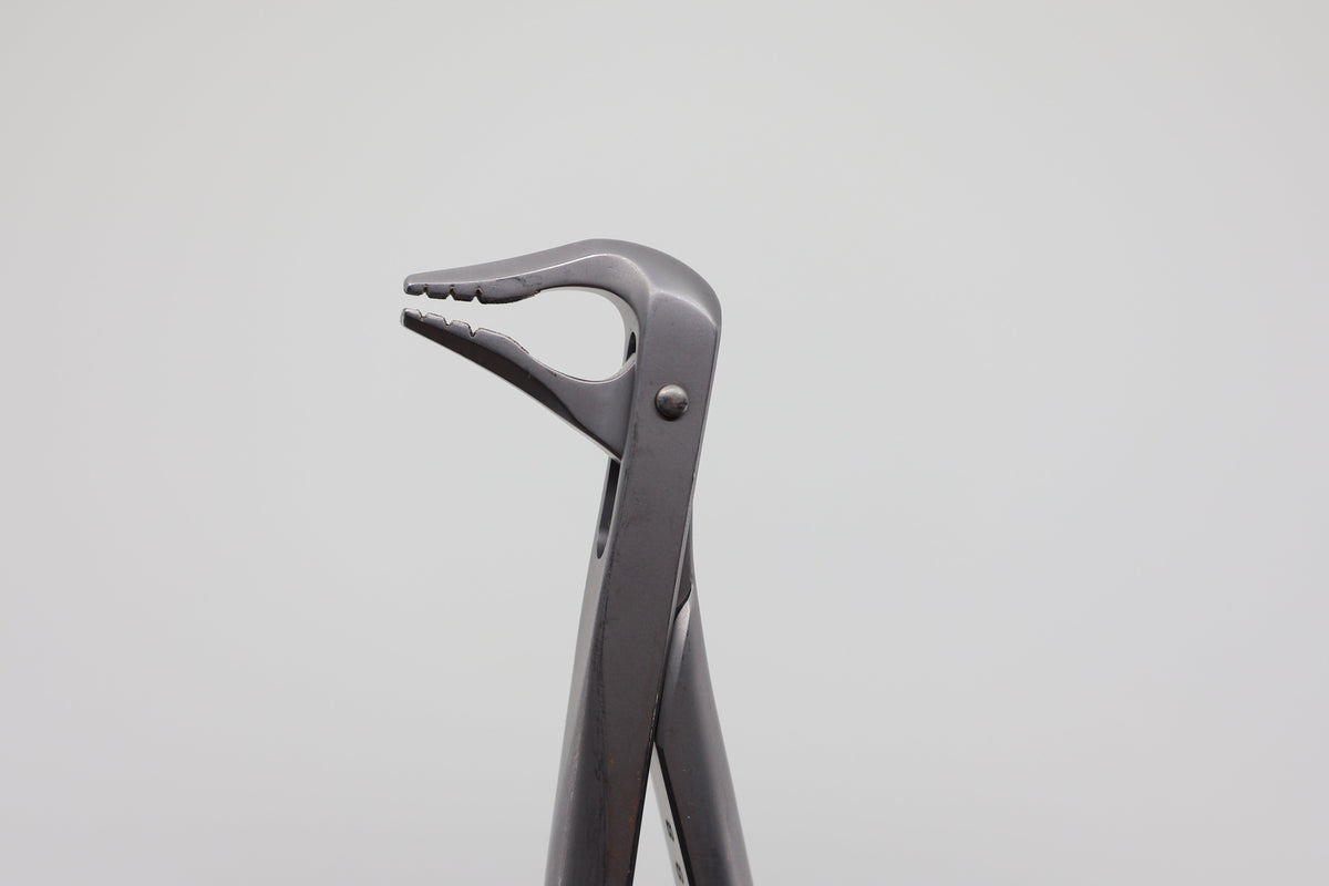 Helmut Zepf 12.236.07ZD #36N Modified lower incisor and premolar extraction forceps - beaks front view