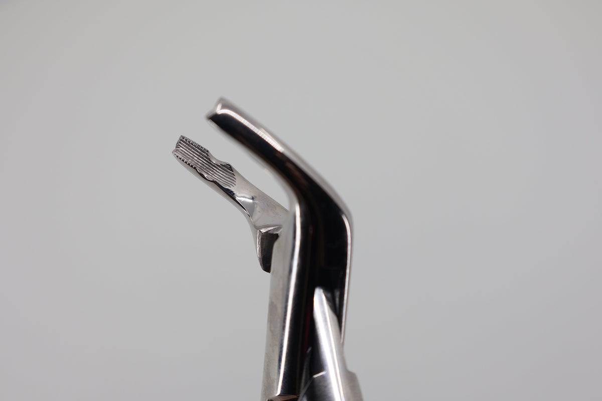 Helmut Zepf 14.151.10 extraction forceps #151-AB - beak close-up
