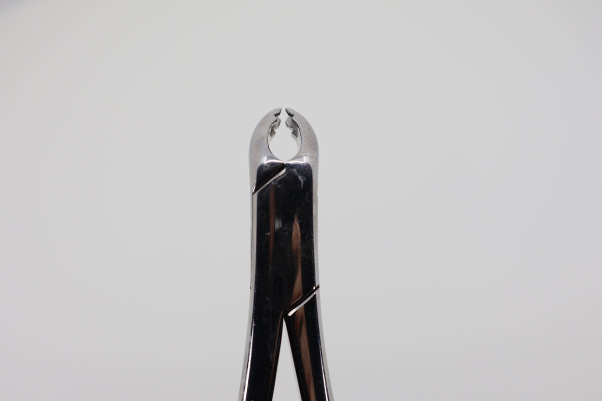 Helmut Zepf 14.151.11 pediatric extraction forceps #151-AS - beaks front view