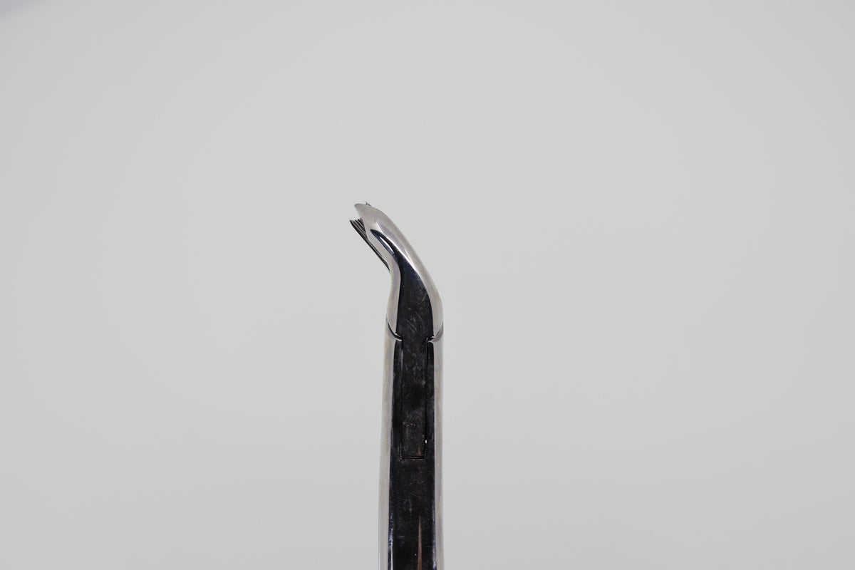Helmut Zepf 14.090.00 extraction forceps #90 - beak profile view