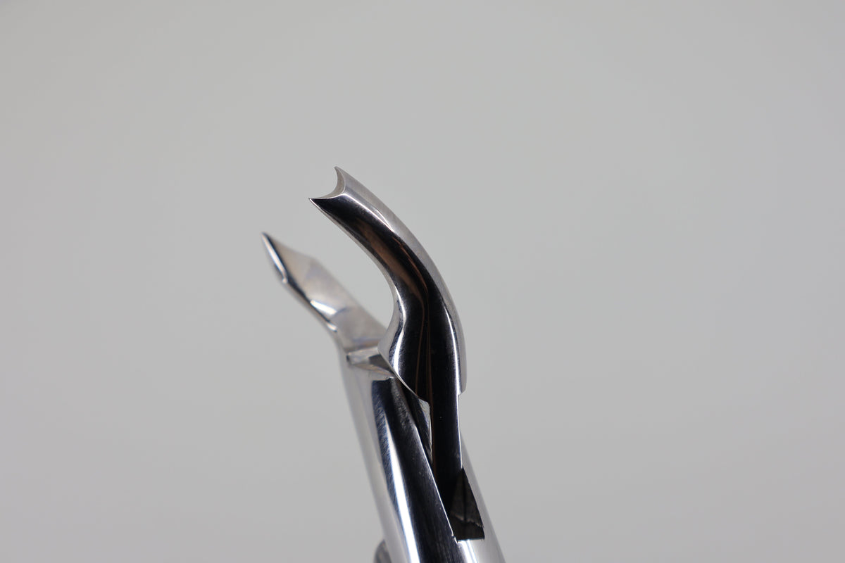 Helmut Zepf 14.089.00 extraction forceps #89 - beak close-up