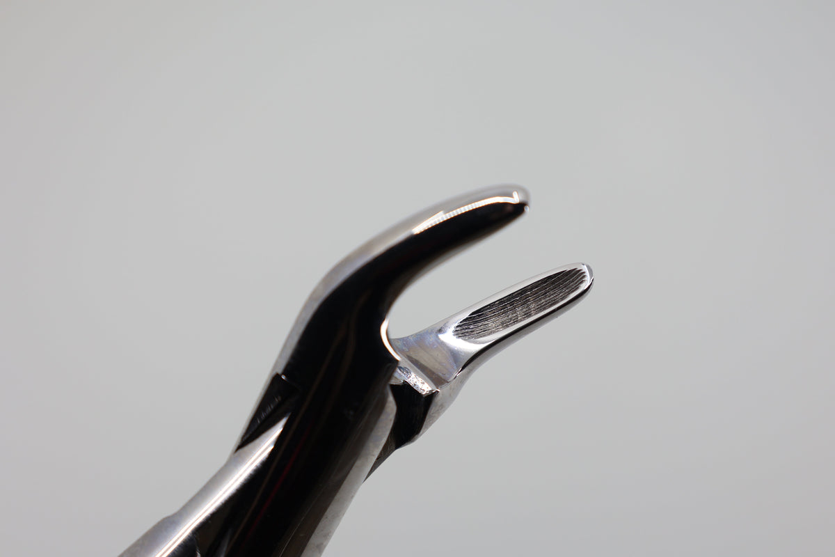 Helmut Zepf 14.150.00 Cryer #150 extraction forceps - beak close-up