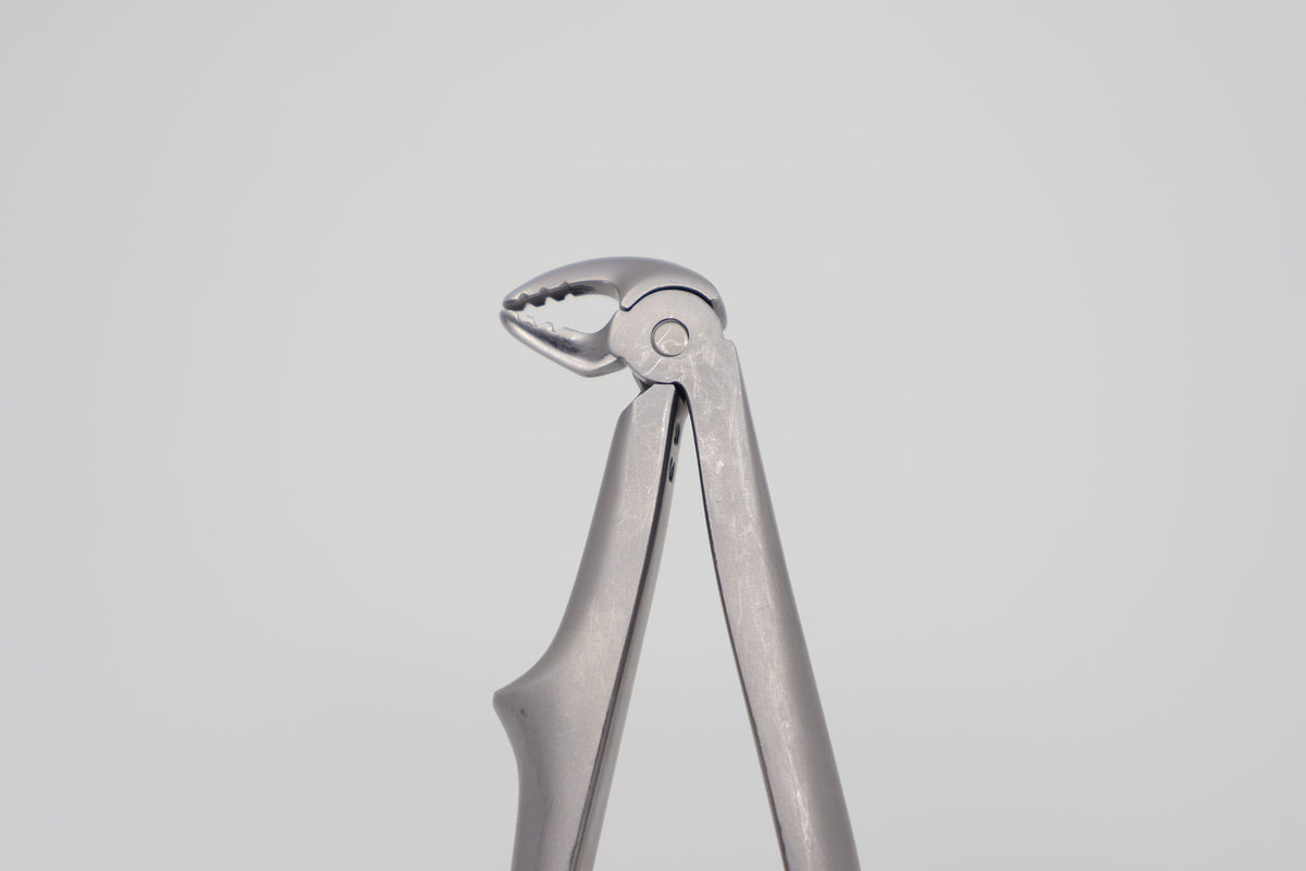 Pediatric extraction forceps #33 Roba 10.685.33, beak detail