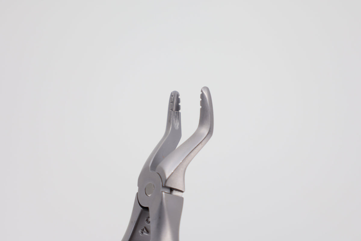 Pediatric extraction forceps #51 Roba 10.685.51, beak detail