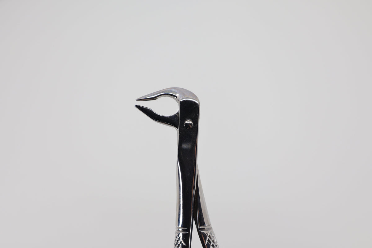Extraction forceps #74 lower roots 10.074.91, angled view
