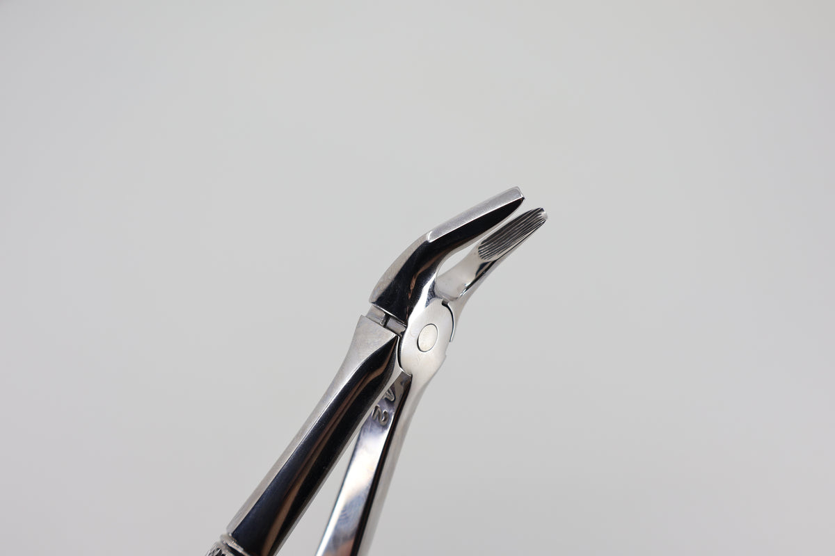 Helmut Zepf #7 extraction forceps beaks, close-up