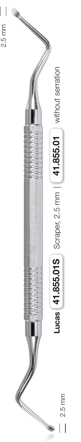 Helmut Zepf 41.855.01 Lucas Curette 2.5 mm Double-Ended Non-Serrated
