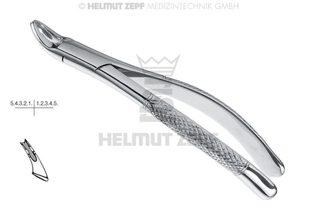 #150 vs #151 Extraction Forceps: What's the Difference?