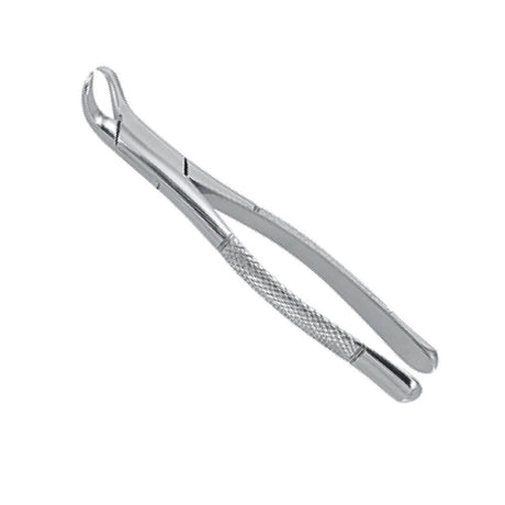 Cow Horn Dental Extraction Forceps for lower molar removal, German precision stainless steel instrument