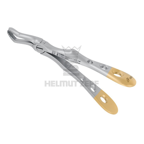 Helmut Zepf Pediatric Dental Forceps with gold handles for gentle atraumatic tooth extraction in children's dentistry 2026