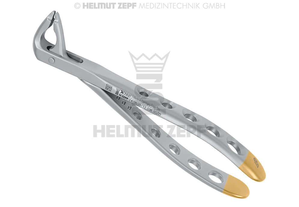 English Pattern Extraction Forceps No. 36