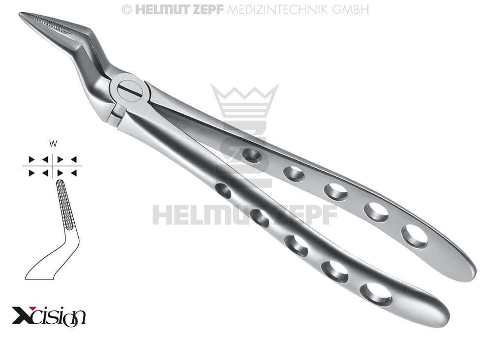 English Pattern Extraction Forceps No. 51
