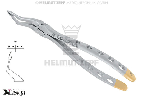 Extraction Forceps Xcision-Line by ZEPF – German surgical stainless steel dental forceps with gold-tip handles