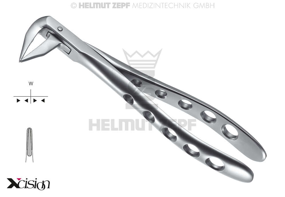 English Pattern Extraction Forceps No. 59