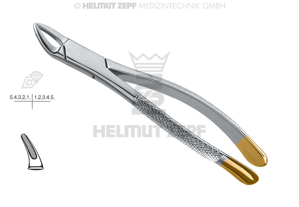 #150 Dental Extraction Forceps