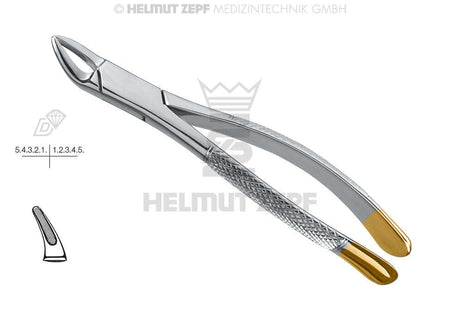 150 Dental Extraction Forceps by Helmut Zepf for maxillary anterior teeth and premolar removal, stainless steel with gold-tip handles