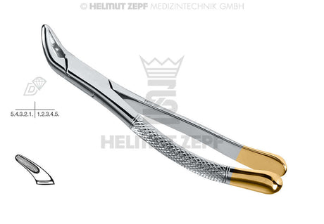 151 Dental Forceps with diamond-tipped gold beaks by Helmut Zepf for maxillary anterior teeth and premolar extractions