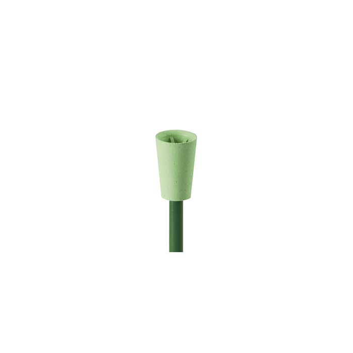 Prophy Cups and Brushes by Busch