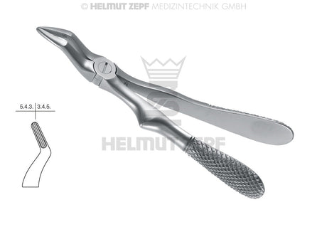 Pediatric extraction forceps children English Pattern No.51 without Spring dental tool by Helmut Zepf