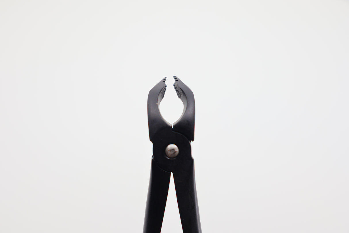 Dental Extraction Forceps #36N Modified English Pattern diamond coated jaws close-up, Helmut Zepf Xcision-Line lower incisors