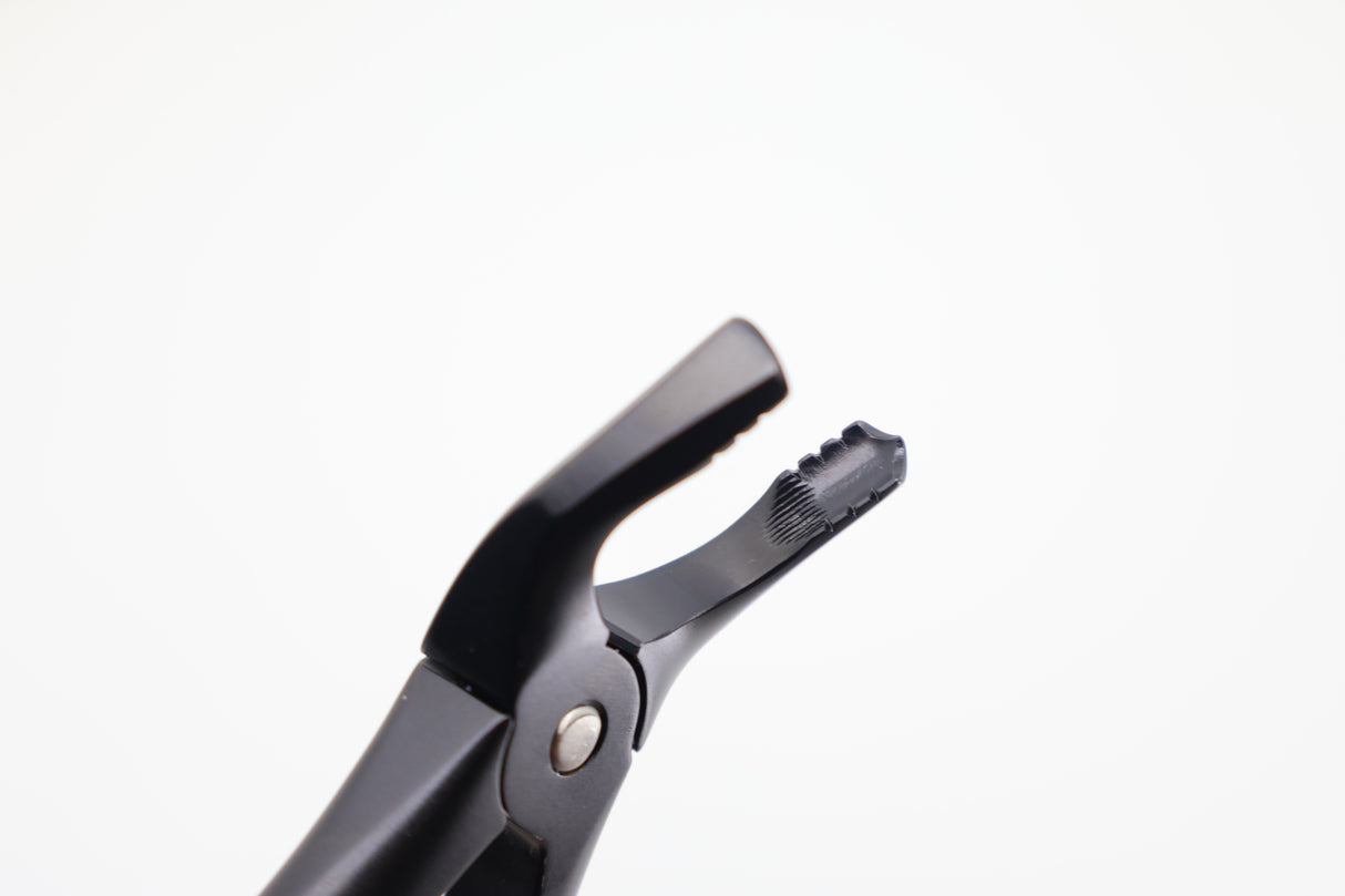 Dental Extraction Forceps #36N Modified diamond coated jaws closeup, Helmut Zepf English Pattern lower incisors premolars