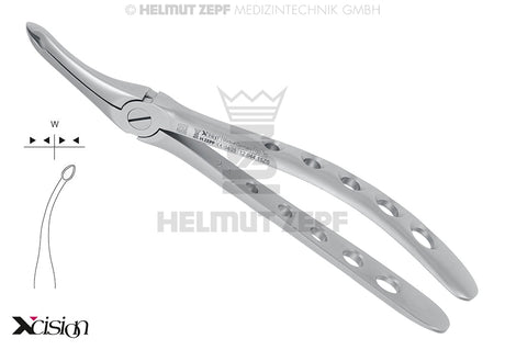 Helmut Zepf #44 upper roots extraction forceps serrated edges, English Pattern Xcision-Line®, No. 12.044.15ZS