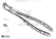 Helmut Zepf #79 extraction forceps lower wisdom teeth English Pattern Xcision-Line dental instrument