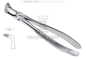 Helmut Zepf #79 lower third molar extraction forceps, English Pattern, Small Pattern, stainless steel dental instrument