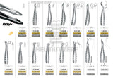 Helmut Zepf diamond coated extraction forceps lower incisors premolars #36M Modified Onyx Coating Xcision-Line catalog
