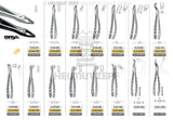 lower wisdom teeth extraction forceps English pattern #79 Modified Roba-Edition Xcision-Line Helmut Zepf 12.279.90Z