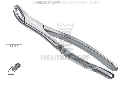 Helmut Zepf #17 lower molar extraction forceps American pattern, standard, either side, stainless steel dental instrument