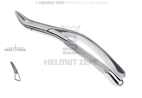 Tomes American Pattern extraction forceps upper lower roots #69 by Helmut Zepf 14.069.00