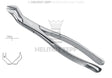 Nevius extraction forceps upper molars right side #88-R American Pattern by Helmut Zepf No. 14.088.16