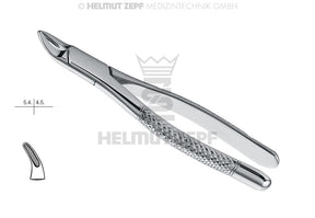 Helmut Zepf #101 deciduous teeth extraction forceps, Hull American Pattern, stainless steel dental tool