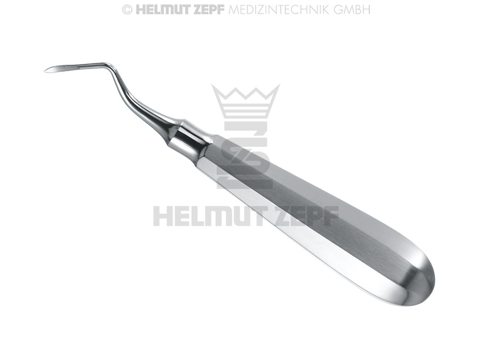 Heidbrink root tip elevator curved #2, Flohr Handle, 2.5mm tip, Helmut Zepf 17.054.03