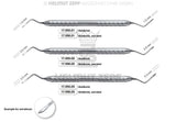 Heidbrink root tip elevator double-ended #2, 2.0mm working tip, Helmut Zepf 17.055.02, shown in size comparison chart