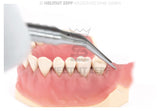 Cooley Forceps 25° Curved Long Tips for Retromolar Region by Helmut Zepf No. 22.823.17 used on dental model