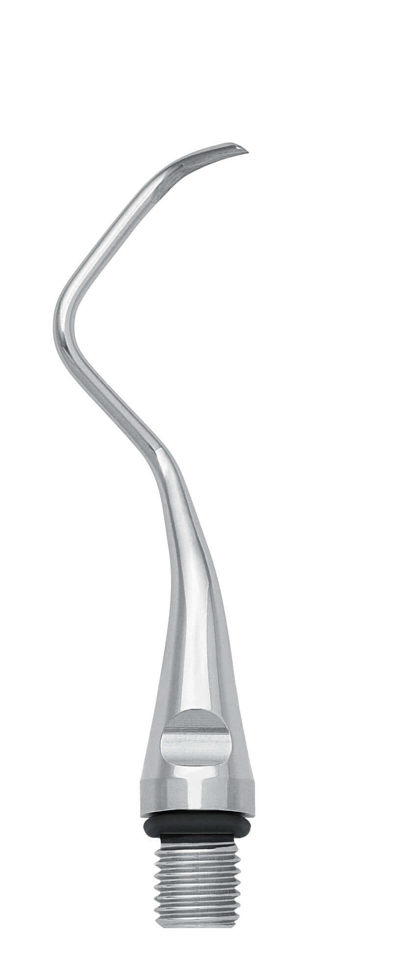 Gracey Curette Insert 17 – Stainless Steel Dental Scaling Tip for Posterior Teeth