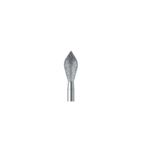Busch 8899 021 FG DIAMOND FINE - (Pack of 2) Bur Made in Germany